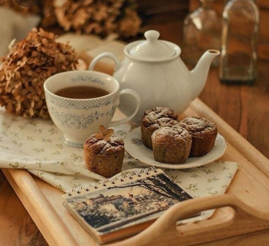 Screenshot_20230316_023858_Pinterest