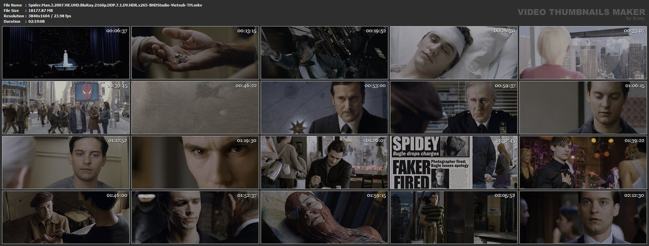 Spider-Man-3-2007-Vi-E-UHD-Blu-Ray-2160p-DDP-7-1-DV-HDR-x265-BHDStudio-Vietsub-TM-mkv.jpg