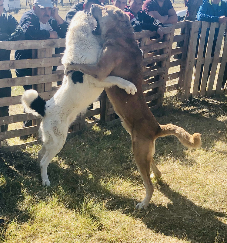 333F8326-8A4D-4CD0-8BFE-41D0232354B2