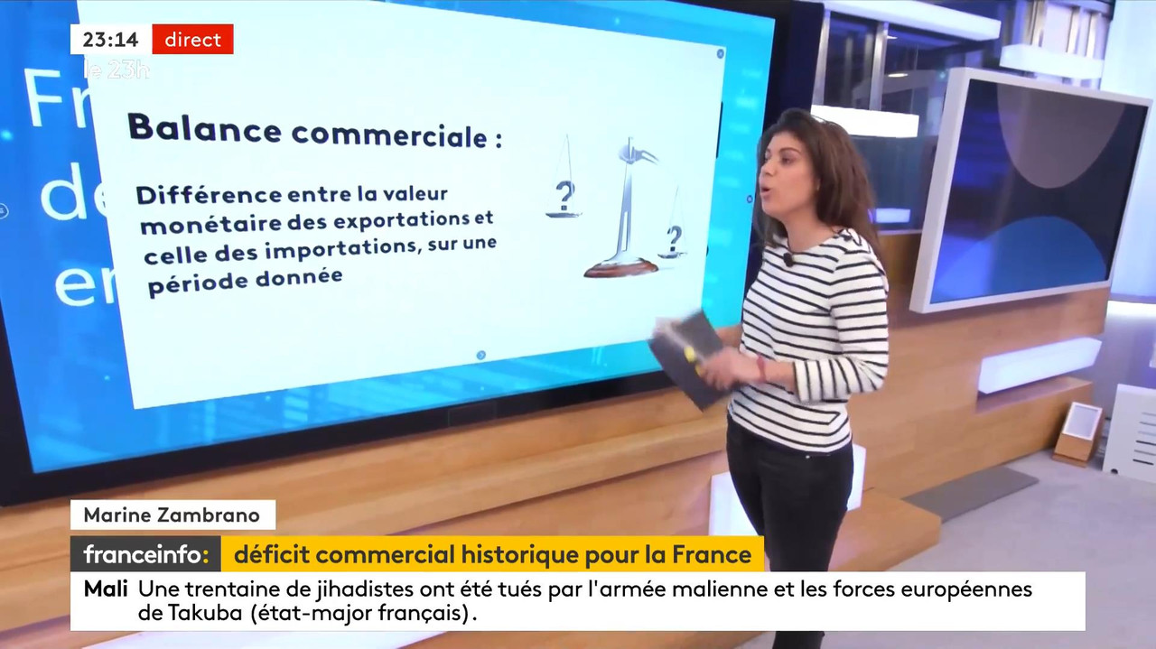 02.08 - 21.59.00 - Le 23H. Le Grand Jt Du Soir De France Télévisions,...-1.m4v_snapshot_00.17.39_[20