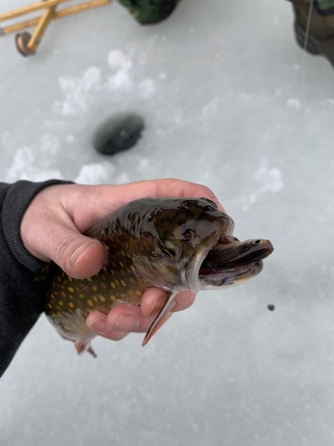 812A93E8-944C-4CE5-9E27-810704B6E725