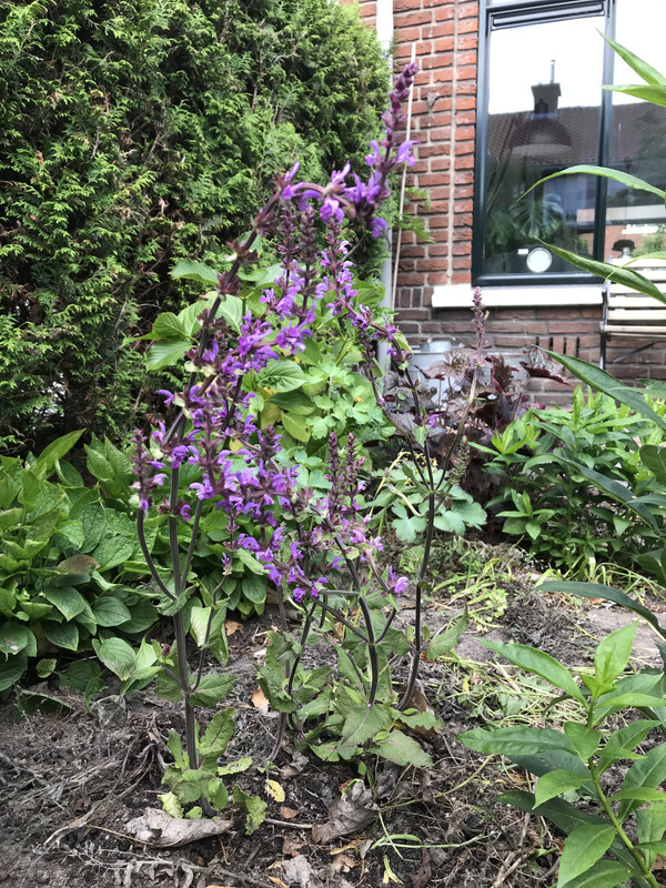 5F088882-F350-4069-AD5A-8F4EA0E18D18