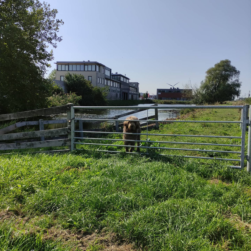 IMG_20200919_144950_050