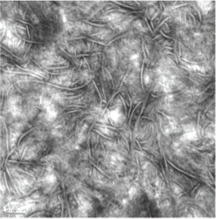 Transmission-Electron-Micrograph.png