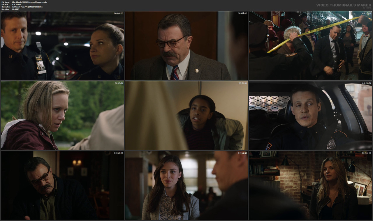 Blue Bloods S07E08 Personal Business.mkv