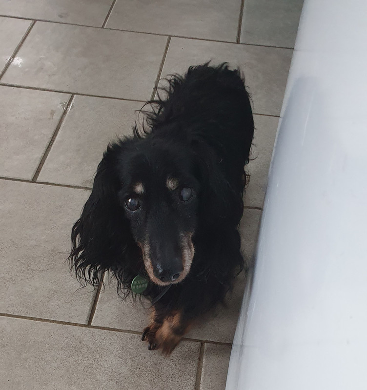 [Image: 20221127-154112.jpg]