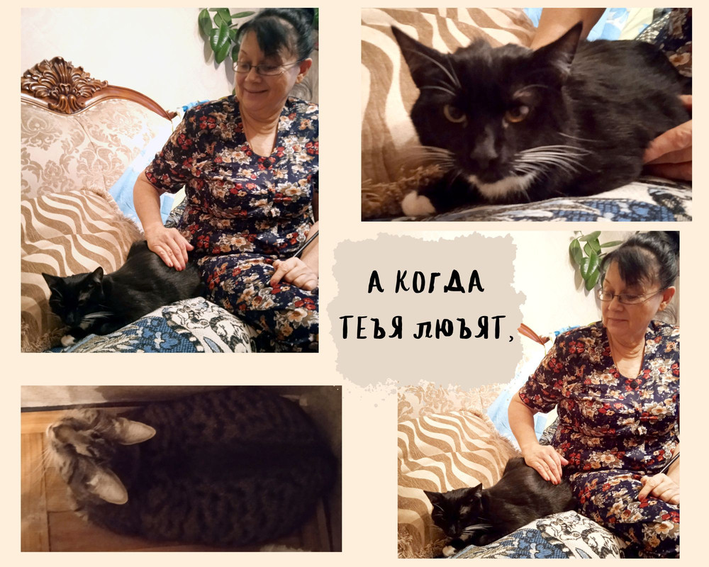 Дома хорошо (1)