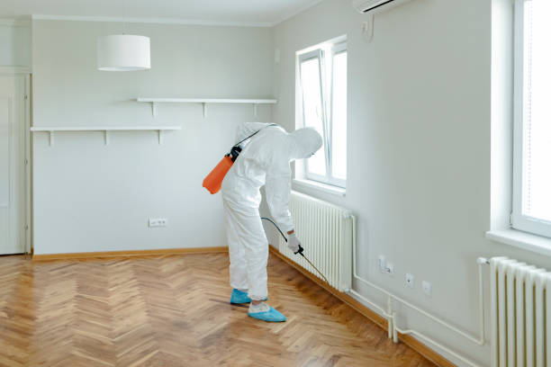 pest-control-16.jpg