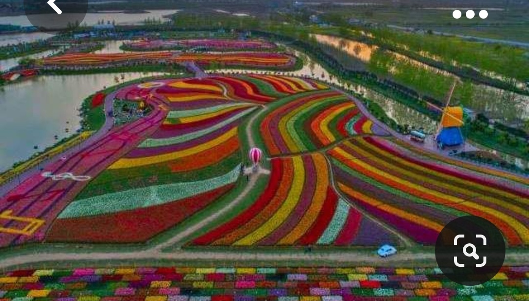 Screenshot_20231017_220017_Pinterest