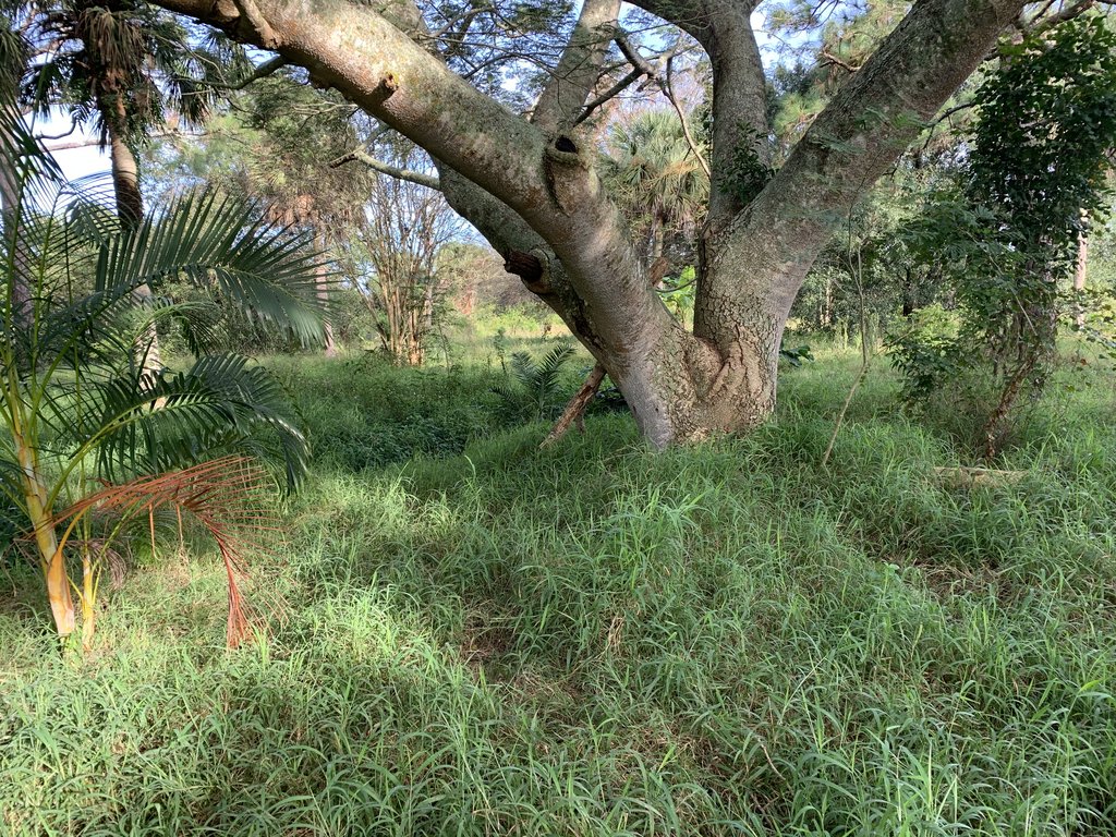 16507F65-AB64-49DB-9302-397885475036