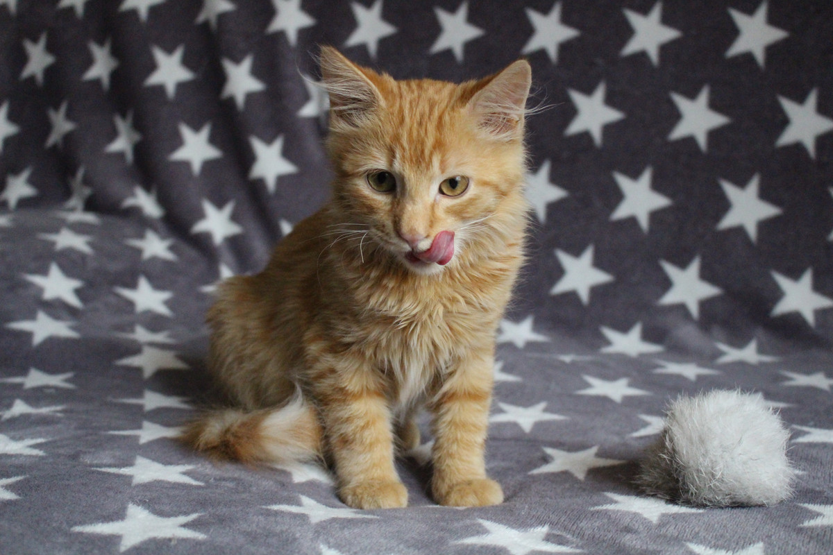 47ED46B0-ED9C-48B2-8095-0AA92726F9C7