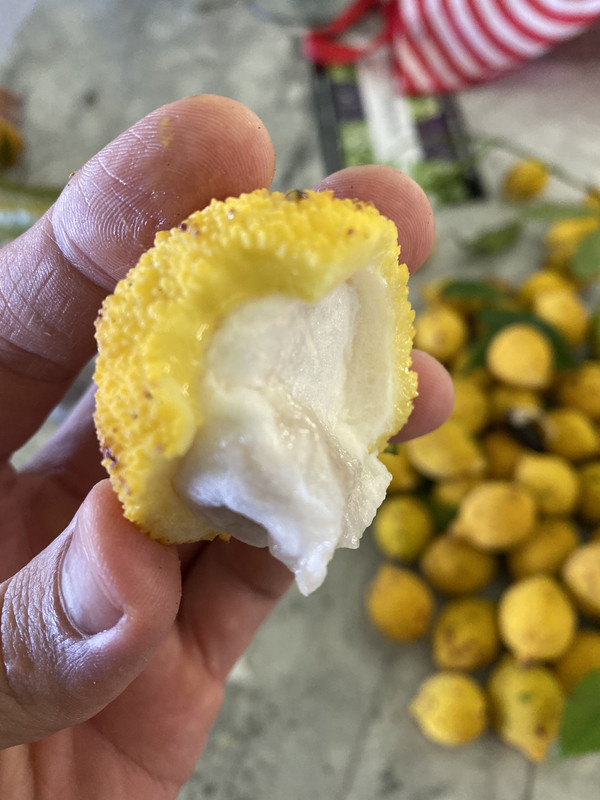 2DAFC241-D907-41A1-ABA7-D1C7BD08D2F2