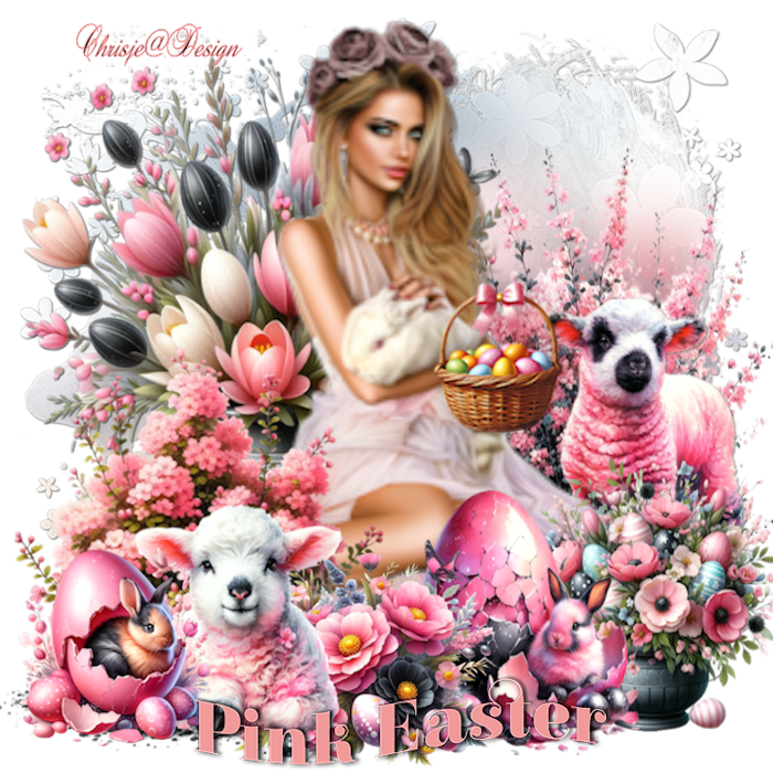 Image and video hosting by TiyPic