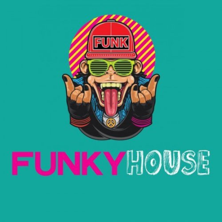 VA - Funky House (2020) flac