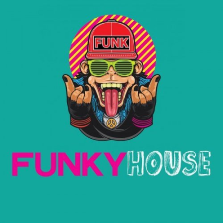 VA   Funky House (2020) flac