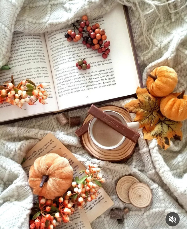 Screenshot_20231203_234004_Instagram