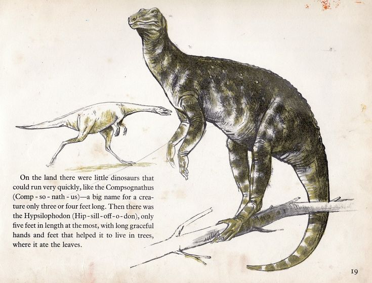 4bdd6811ba270f4d652ad945c2be5cf6