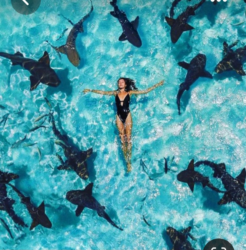 Screenshot_20230514_124302_Pinterest