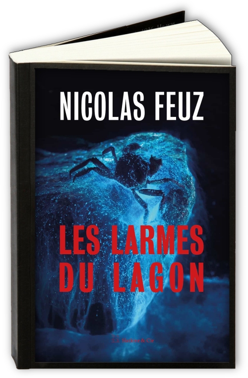 Les-larmes-du-lagon-Nicolas-Feuz.jpg?042148