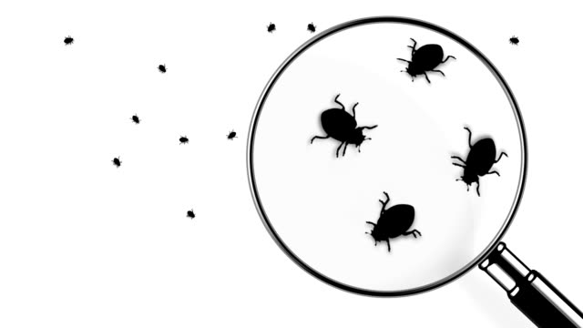 Bed-Bug-Treatment4-2.jpg