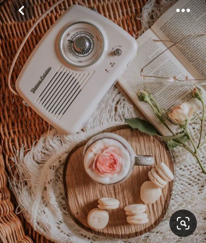 Screenshot_20230808_005246_Pinterest