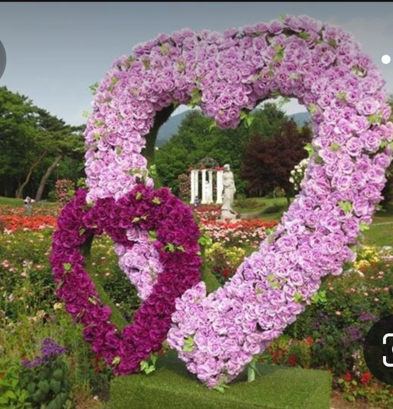 Screenshot_20230402_223824_Pinterest