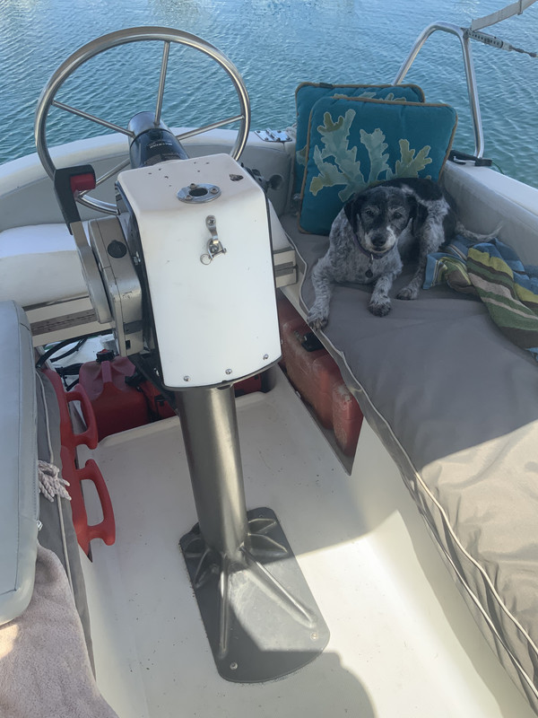 34C0F1FC-A324-49D1-B11B-F289EE82EB9A