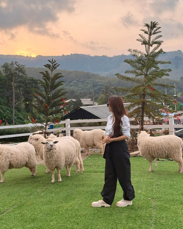 janey-suwannaket-1737458411-3550380936479951698-6570840899