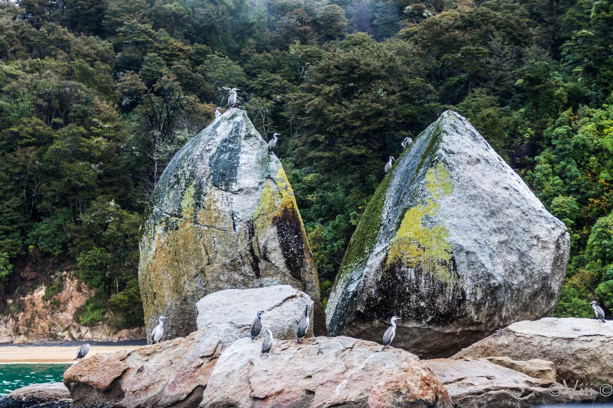 Día 7. Abel Tasman - Nueva Zelanda/Islas Cook - Viaje de novios a la Tierra Media (2)