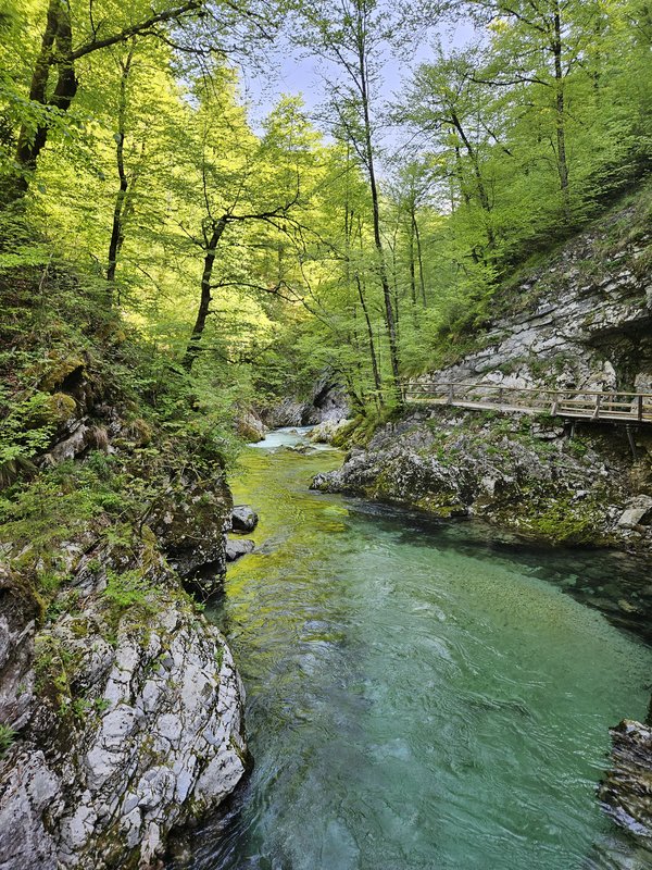 Slika