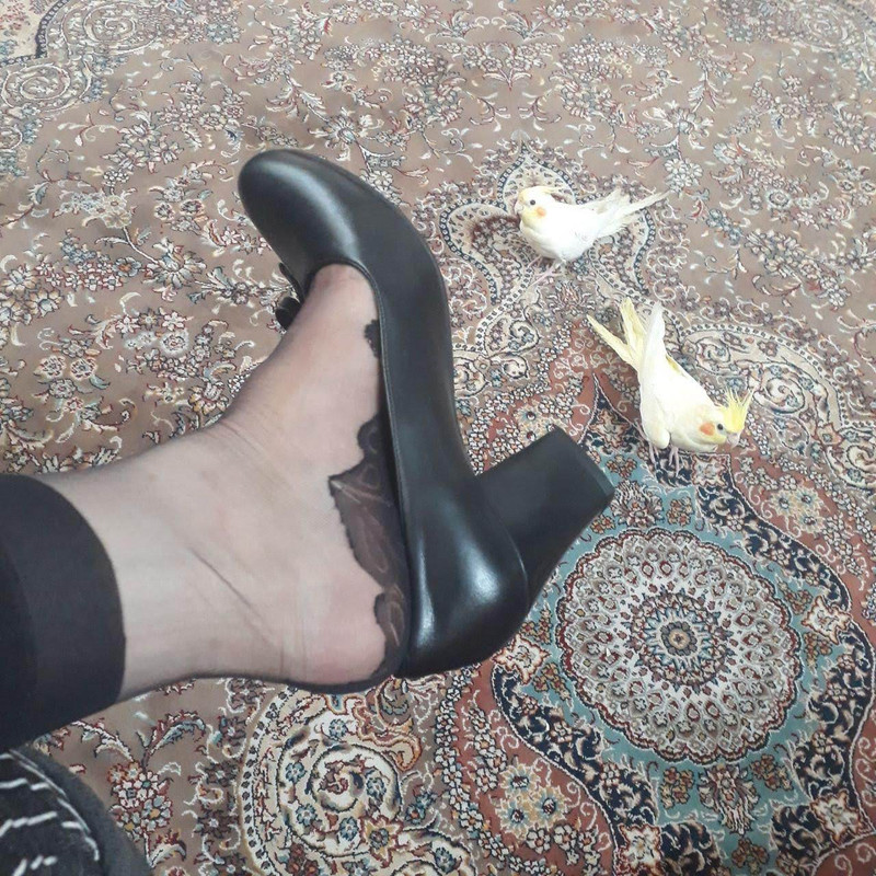 photo_۲۰۱۹-۰۶-۱۰_۱۹-۵۱-۱۲