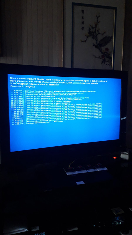 bug