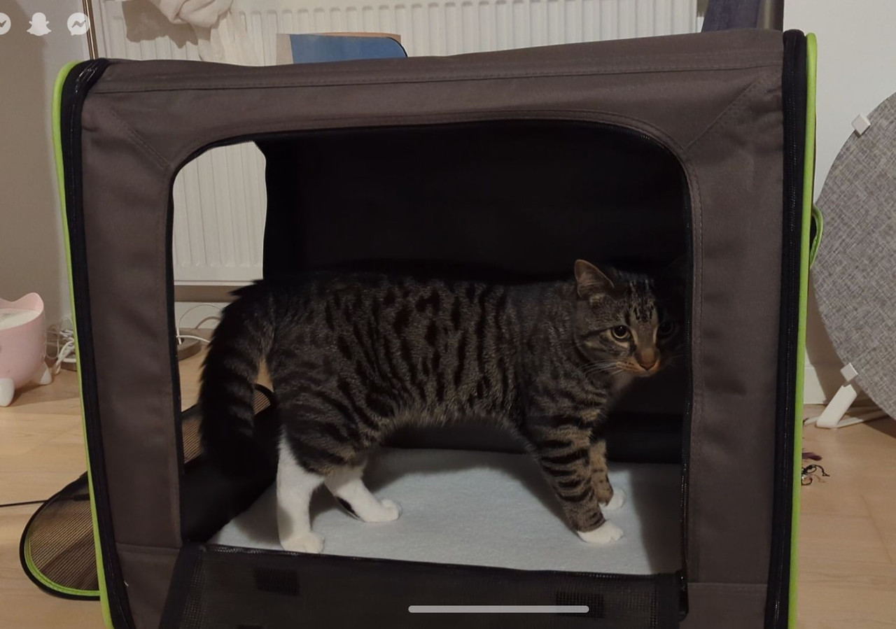 Screenshot 20260322 205740