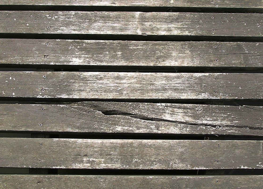 wood-texture-3dsmax (176)