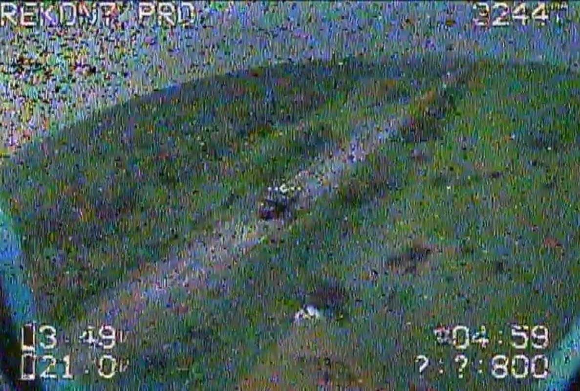 418321110_678734471000131_16649727421123755_n (1)