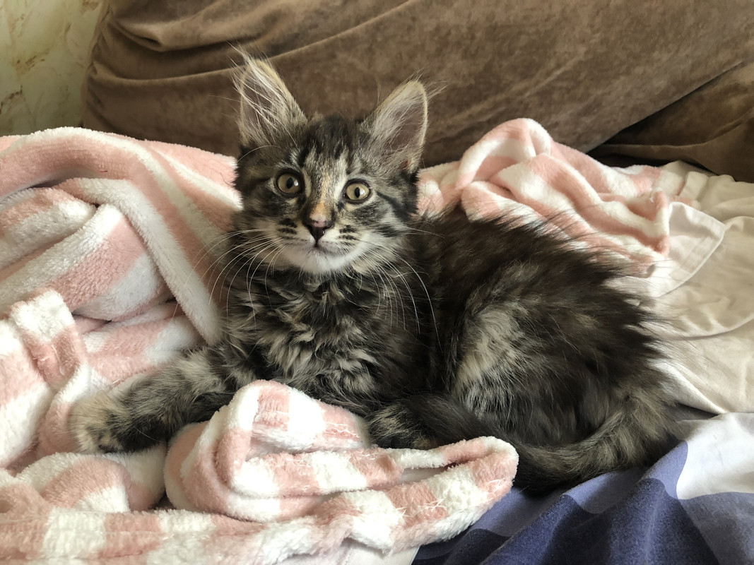 B5F8AE60-CA32-4F17-8099-DFE82DDE7339