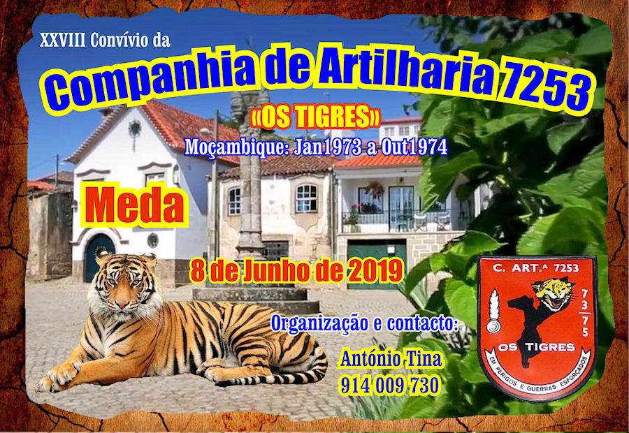 CArt7253-08-Jun2019-900