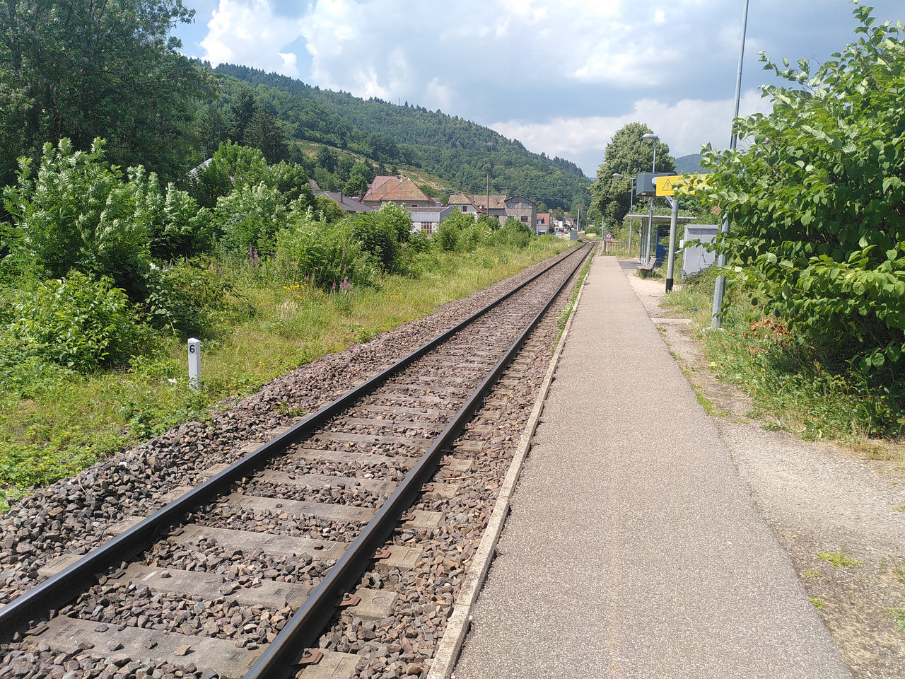 IMG 20260621 150143