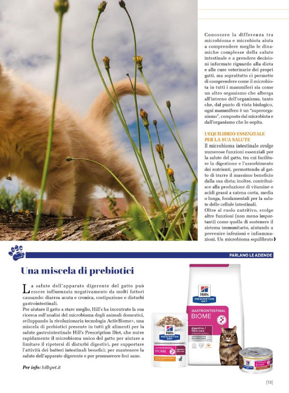 Ga Ma Ago-Set 2024 (2)