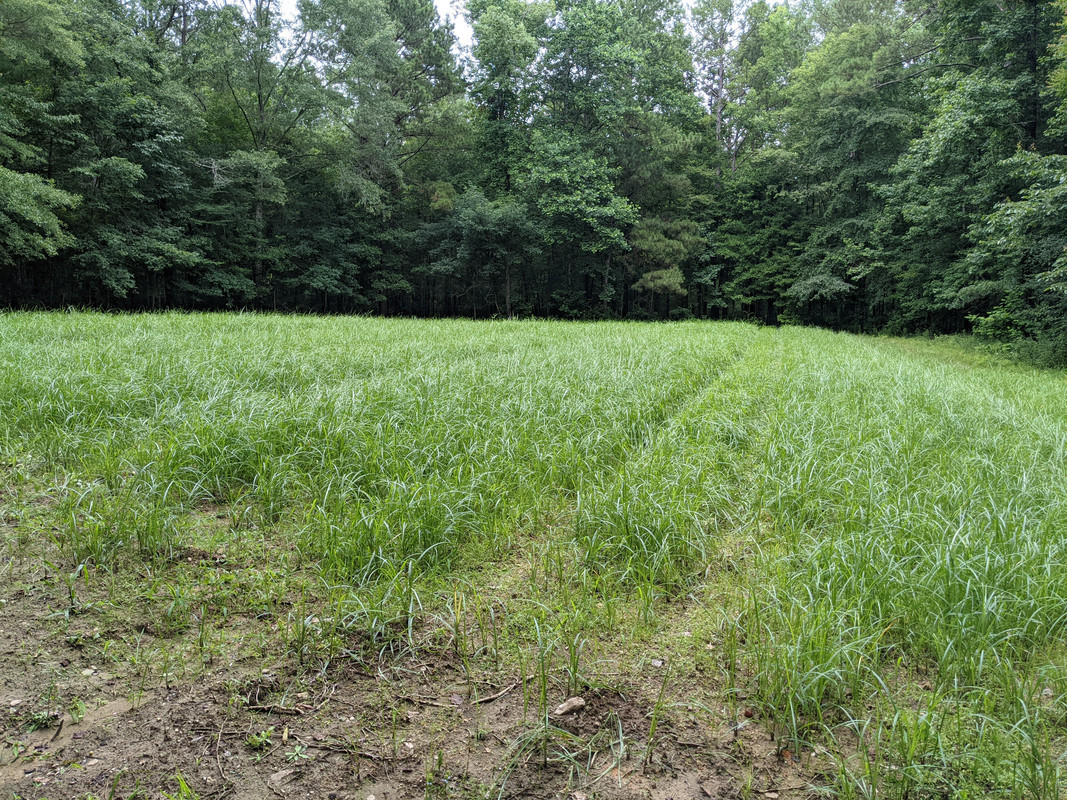 PXL_20210707_210252371