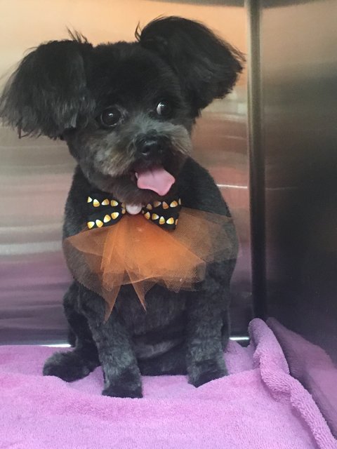 BDF31407-6F58-4A19-AD68-C1DF1AB5796A