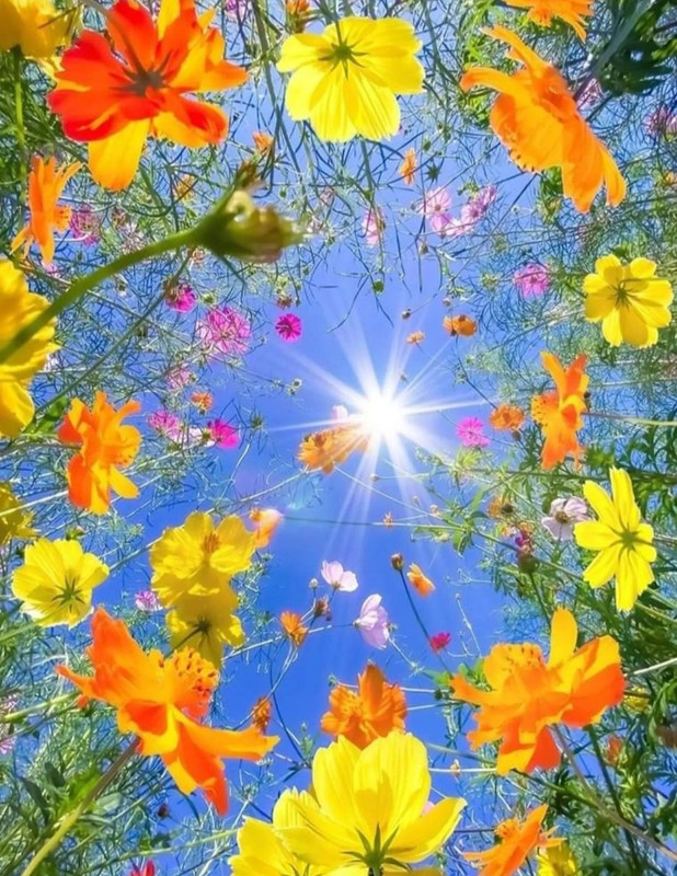 Screenshot_20240428_162622_Threads