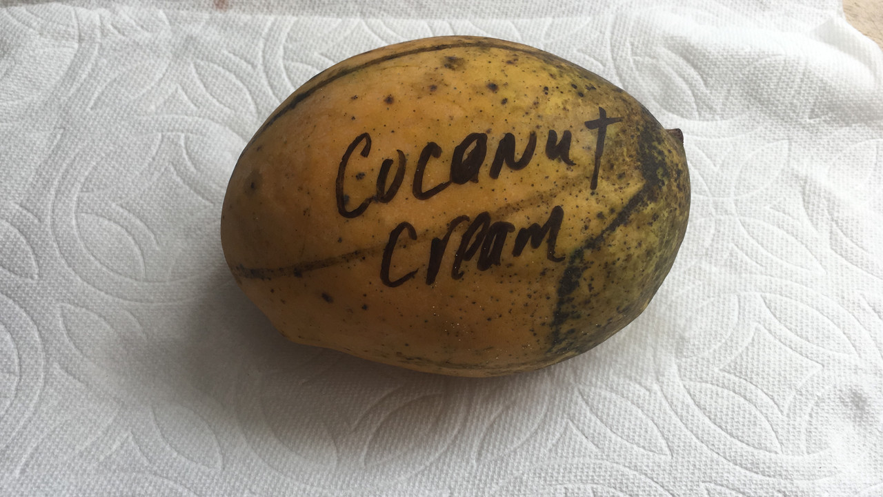 67DB480B-3CF2-4157-8E02-347A0BDAC732