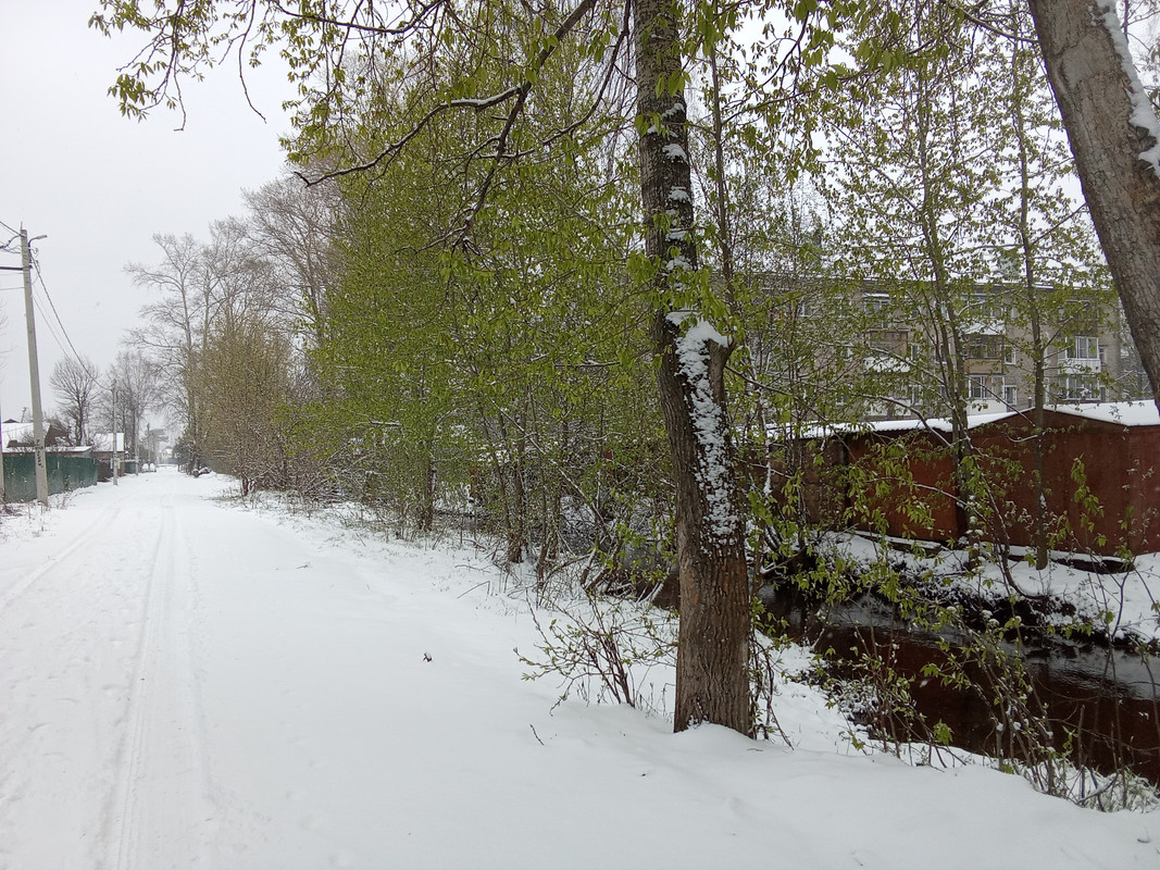 IMG-20240510-090923.jpg