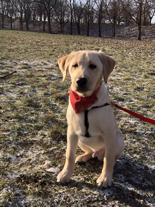 F573076C-0F19-4803-80C7-26546EAB8C88