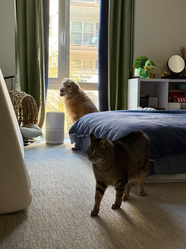 我的冬日卧室 drawing