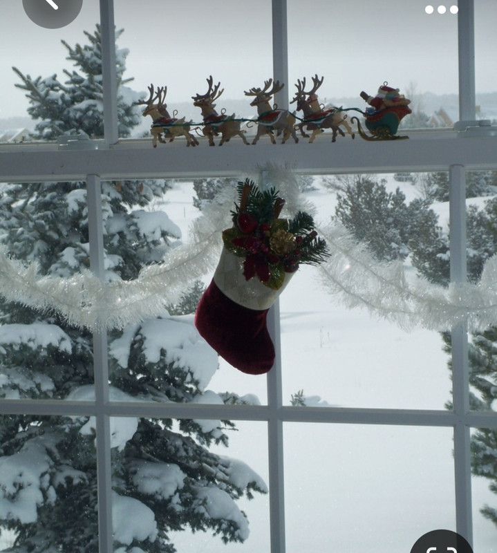 Screenshot_20231023_221633_Pinterest