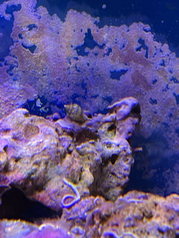 C0889438-3F47-4F21-94DC-F7CA1DFA79A9