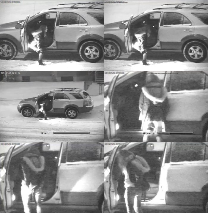Car-door-pee-video-2-3.jpg