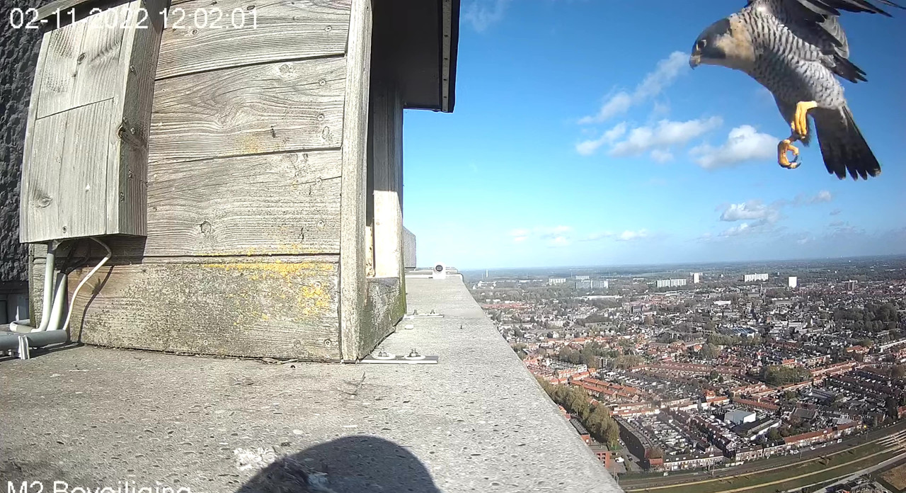 Tilburg/Westpointtoren - Pagina 23 Video-2022-11-02-121937-Moment